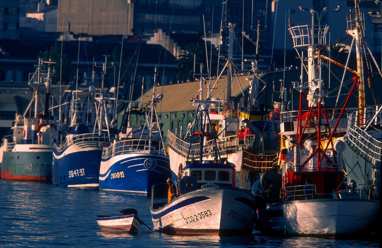 Las costas gallegas: barcos y mariscos frescos