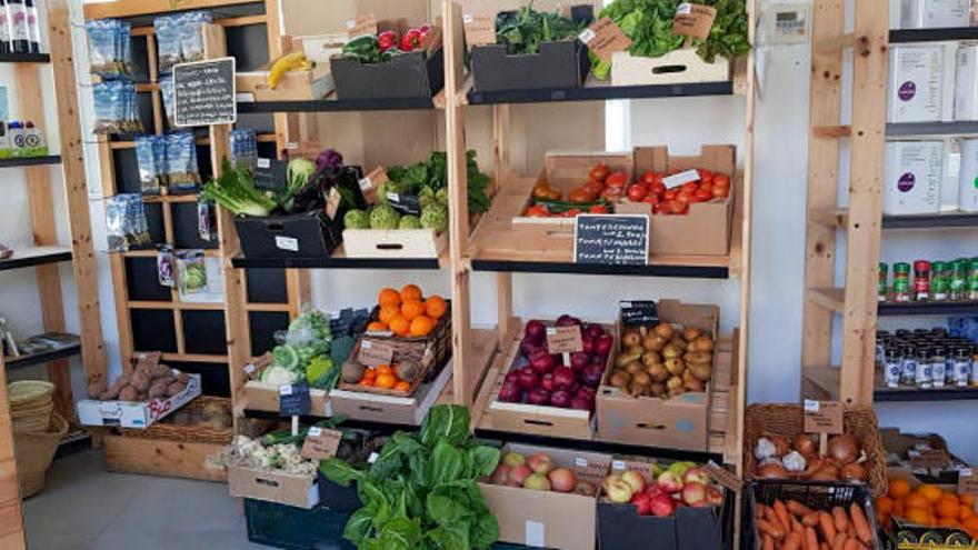 La UMU abre una tienda de frutas y verduras ecológicas y de proximidad