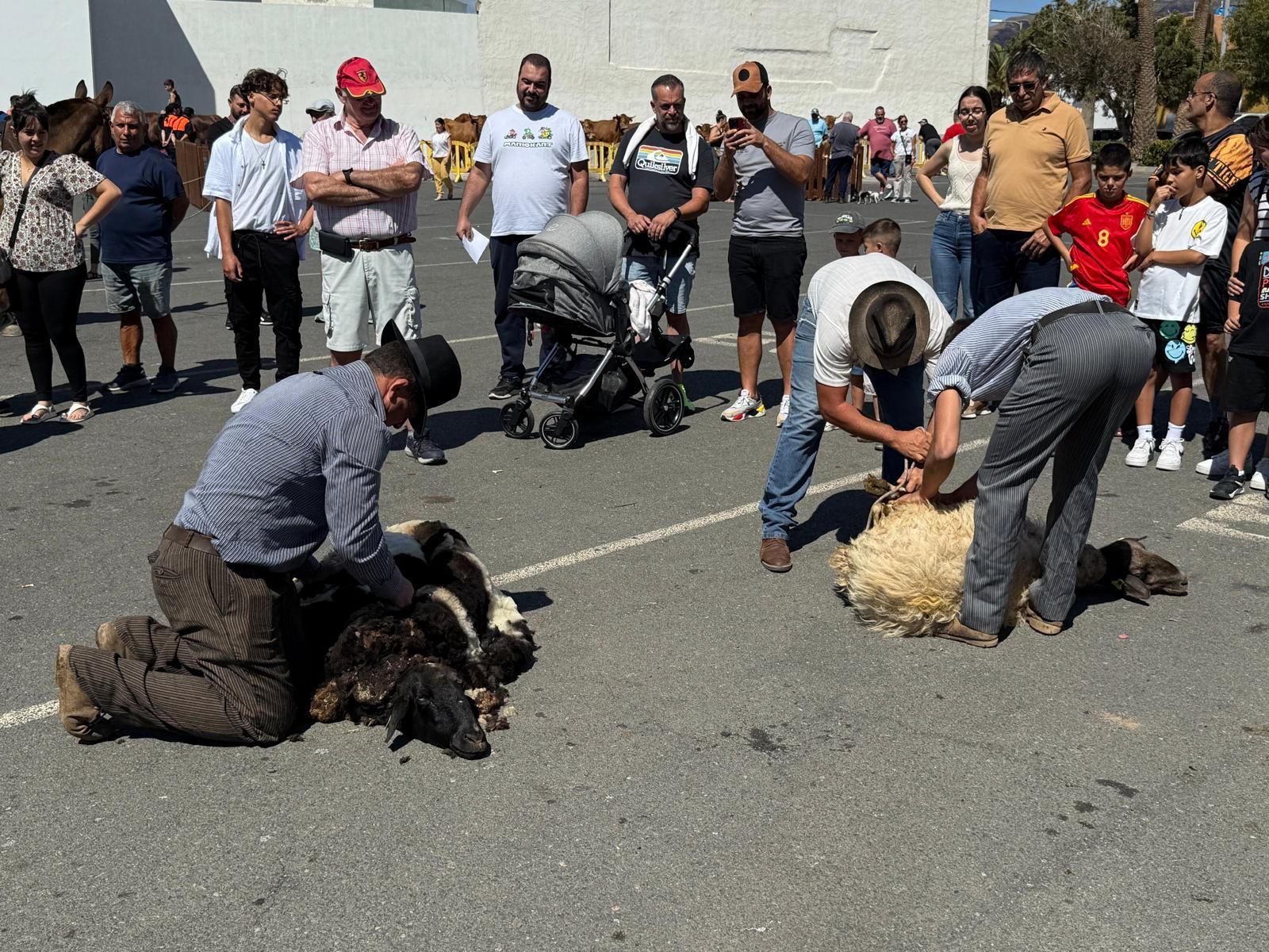 Día grande de las fiestas de San Isidro en Sardina