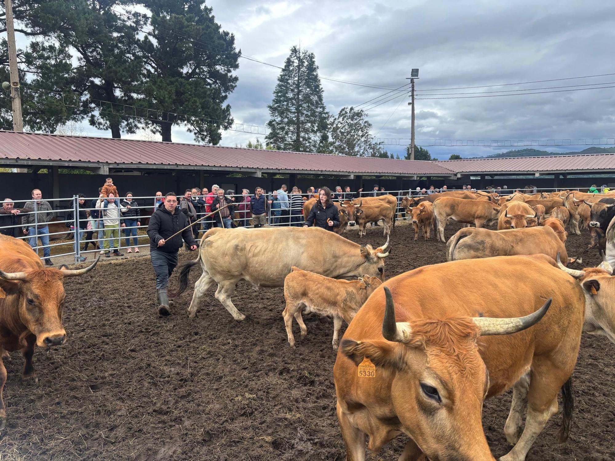 EN IMÁGENES: El domingo de San Isidro en Llanera