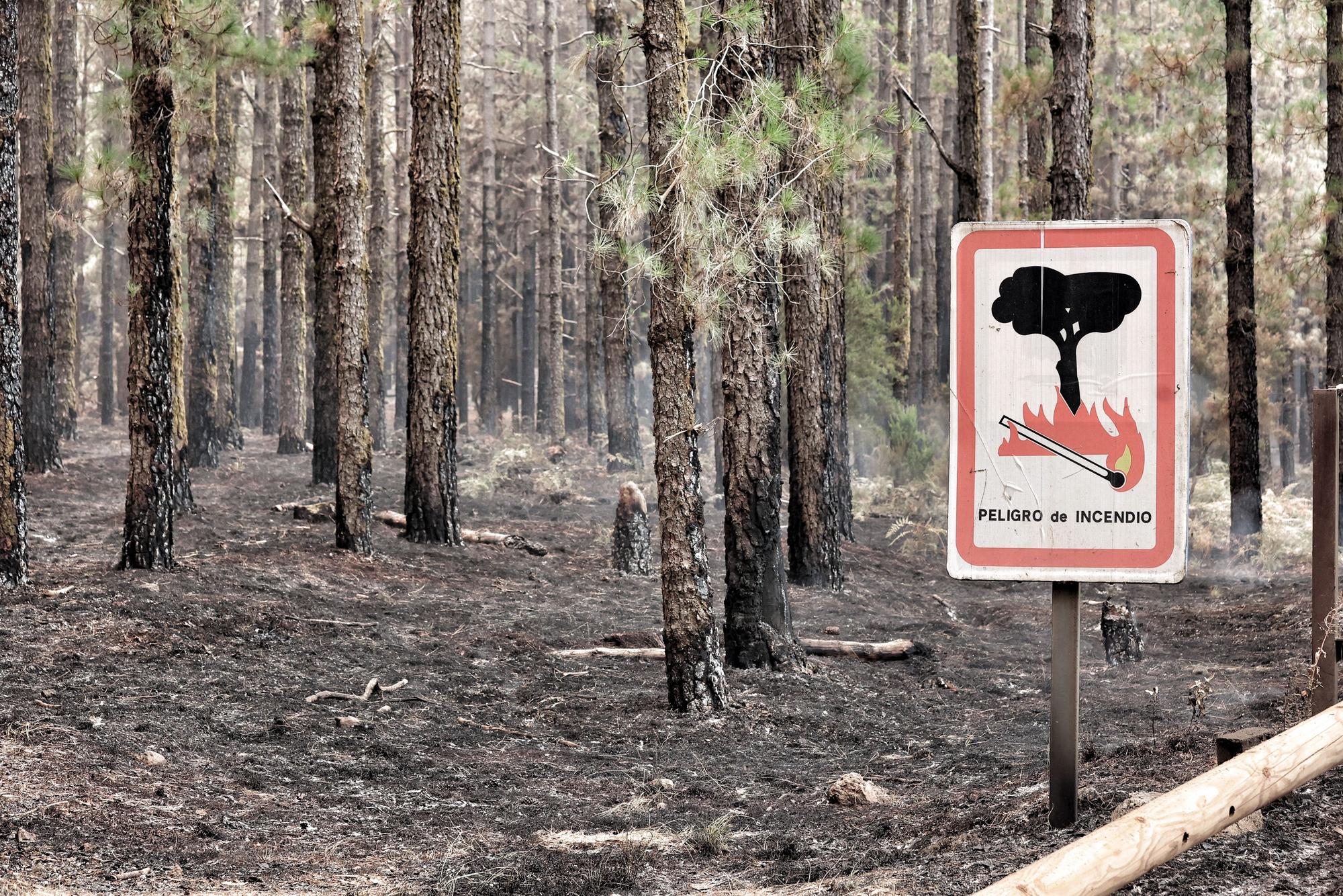 Evolución del incendio en Tenerife