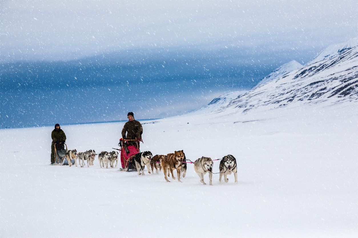 Paseo en trineo con huskies, una de las actividades más populares en esta región