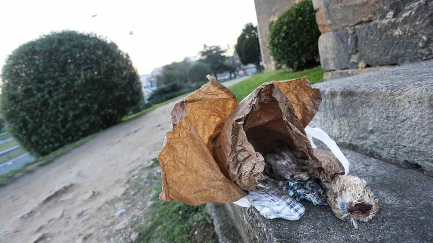 Restos de un posible ritual de santería en Santullano.