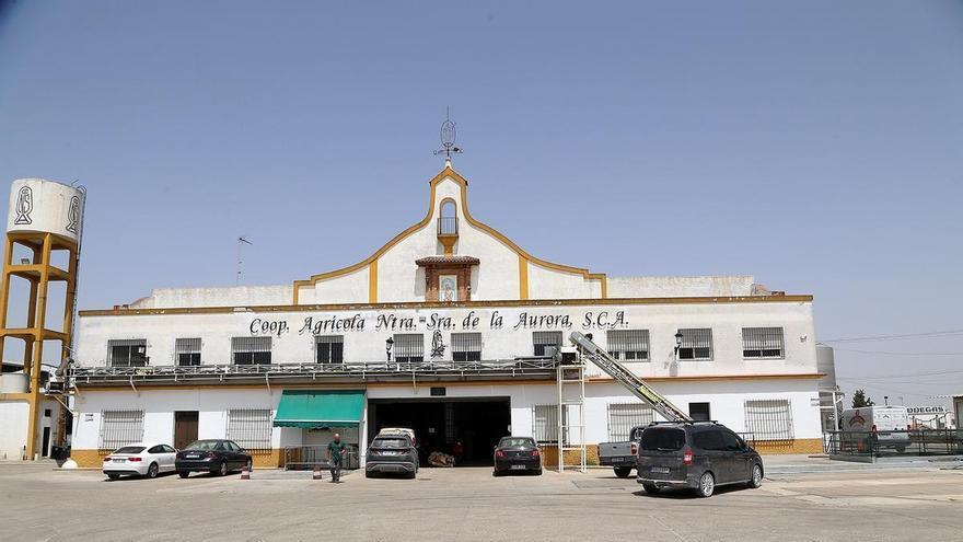 Bodegas La Aurora, de Montilla, triunfa en VinEspaña con los máximos reconocimientos del jurado