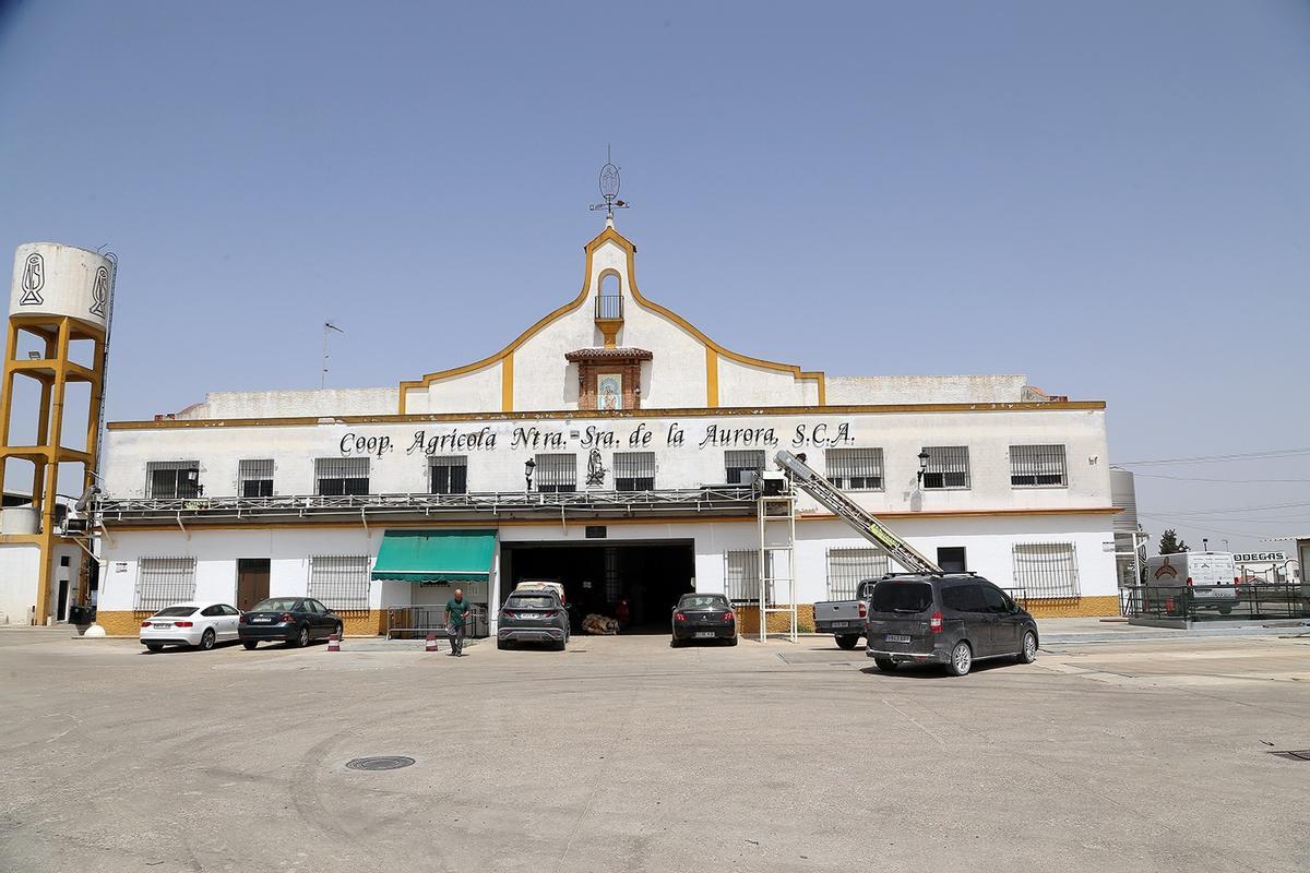 Instalaciones de Bodegas La Aurora, en la avenida de Europa de Montilla.