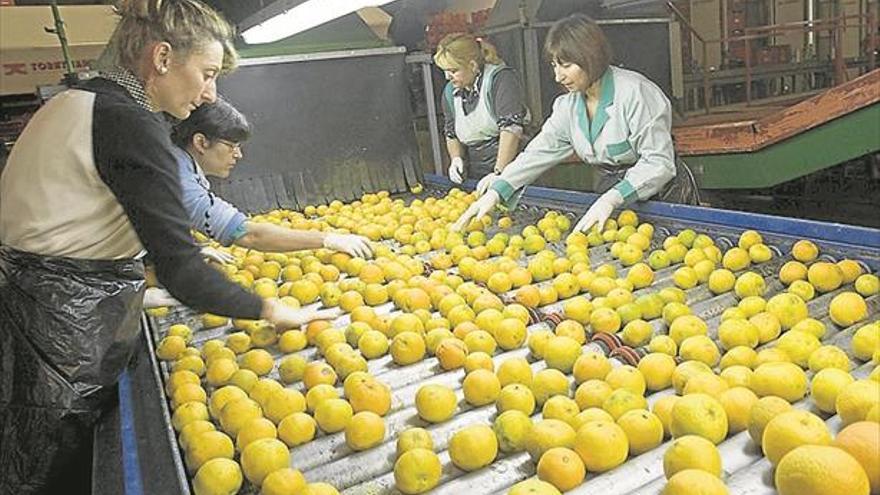 El ‘buque’ del sector agroalimentario