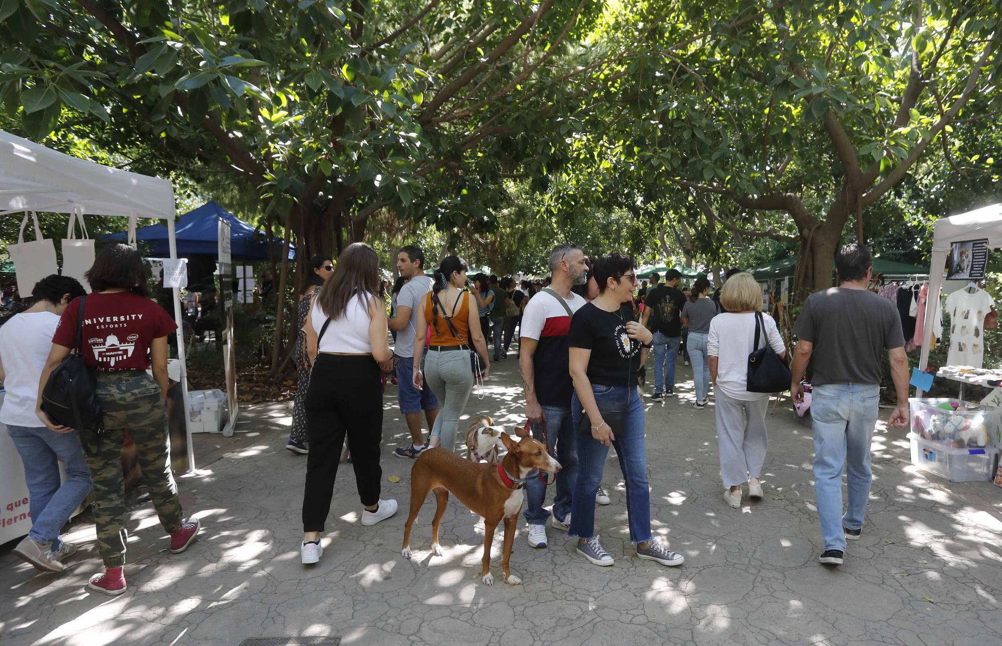 La Feria Animalista de València, en imágenes