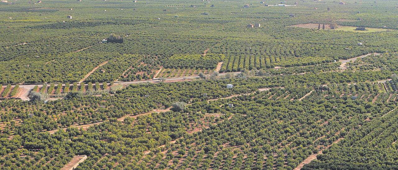 Las nuevas tarifas eléctricas ponen en pie de guerra a los regantes valencianos