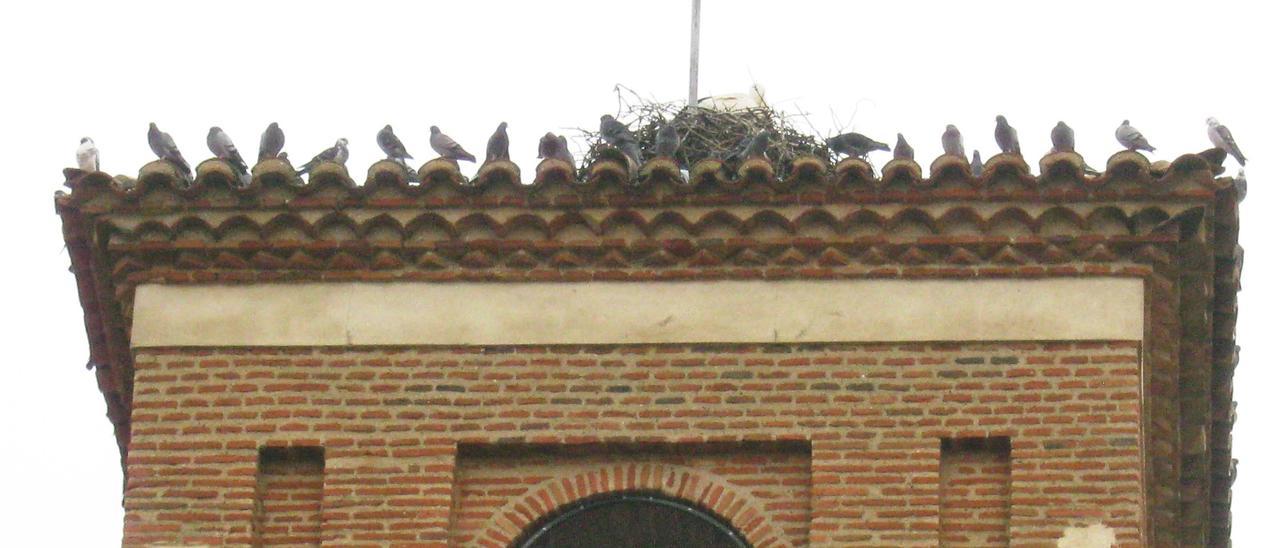 Palomas posadas en una iglesia de la ciudad