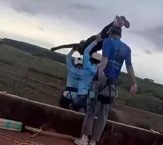 Mor una jove de 21 anys quan feia salt de pont després de ser llançada accidentalment sense corda al Brasil