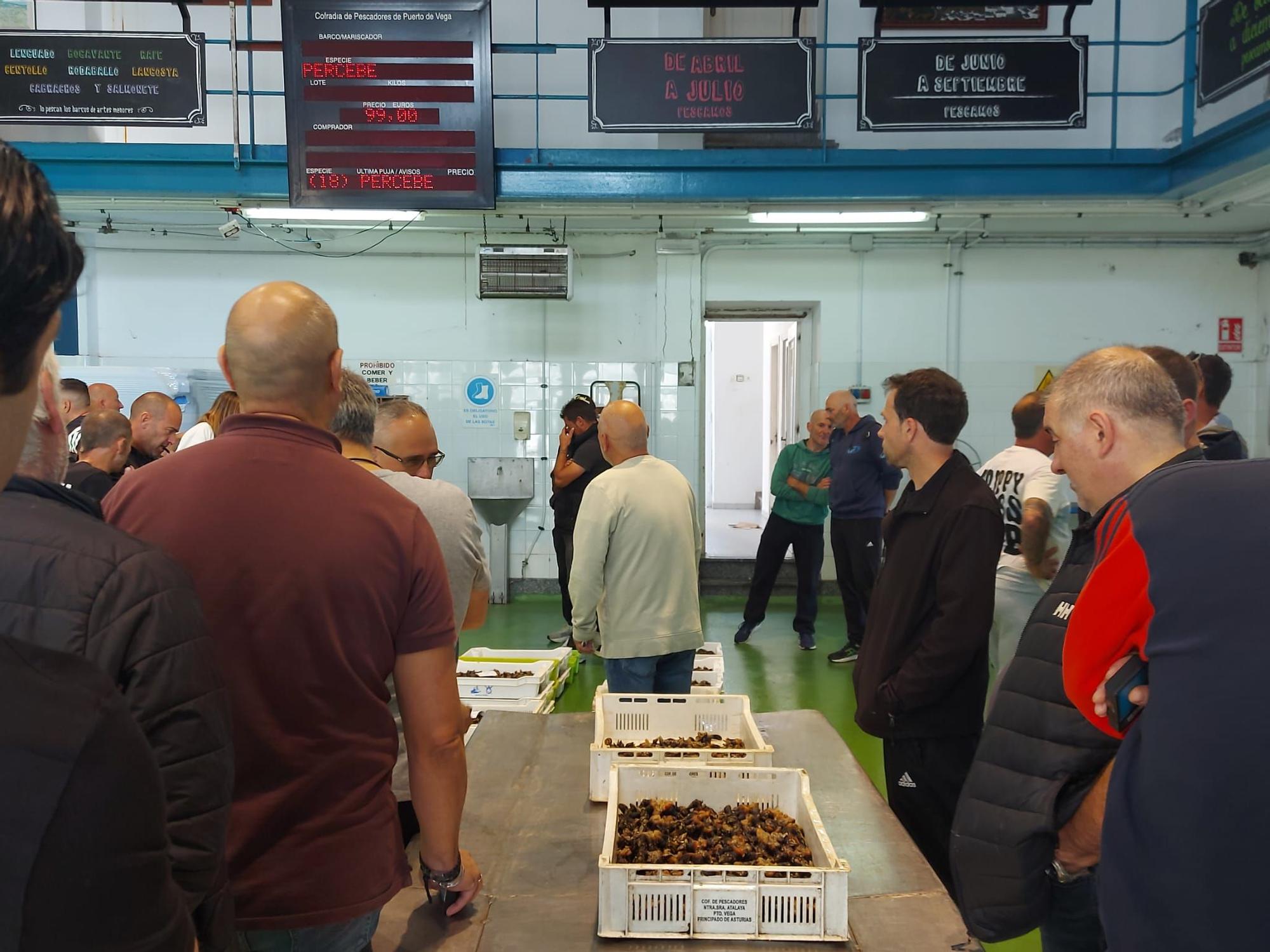 En imágenes: La primera subasta de percebe de la temporada en la rula de Puerto de Vega