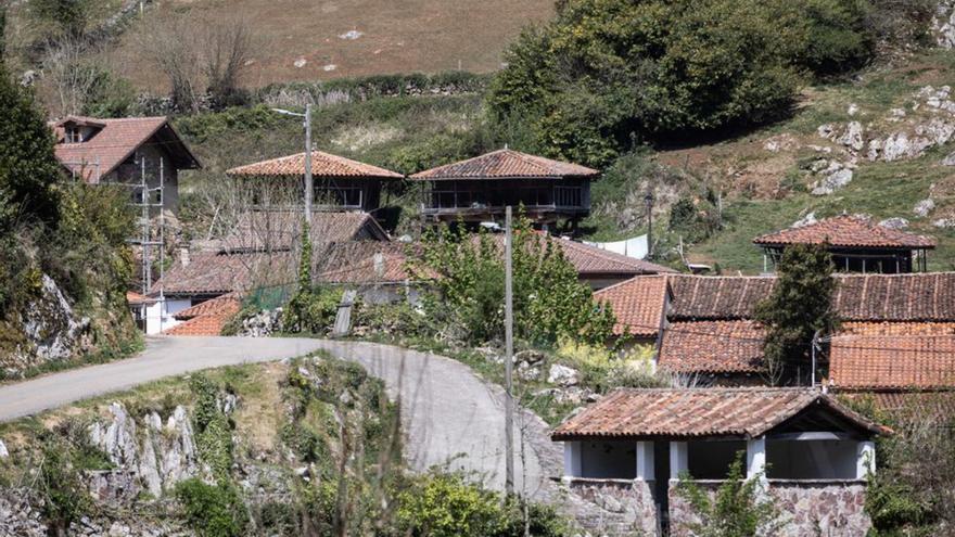 El teletrabayu tira de Tameza (y asina dexó de ser el conceyu menos pobláu)