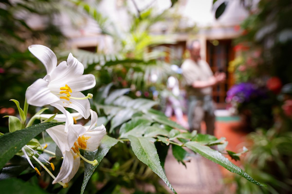 Así lucen los patios más visitados de la fiesta