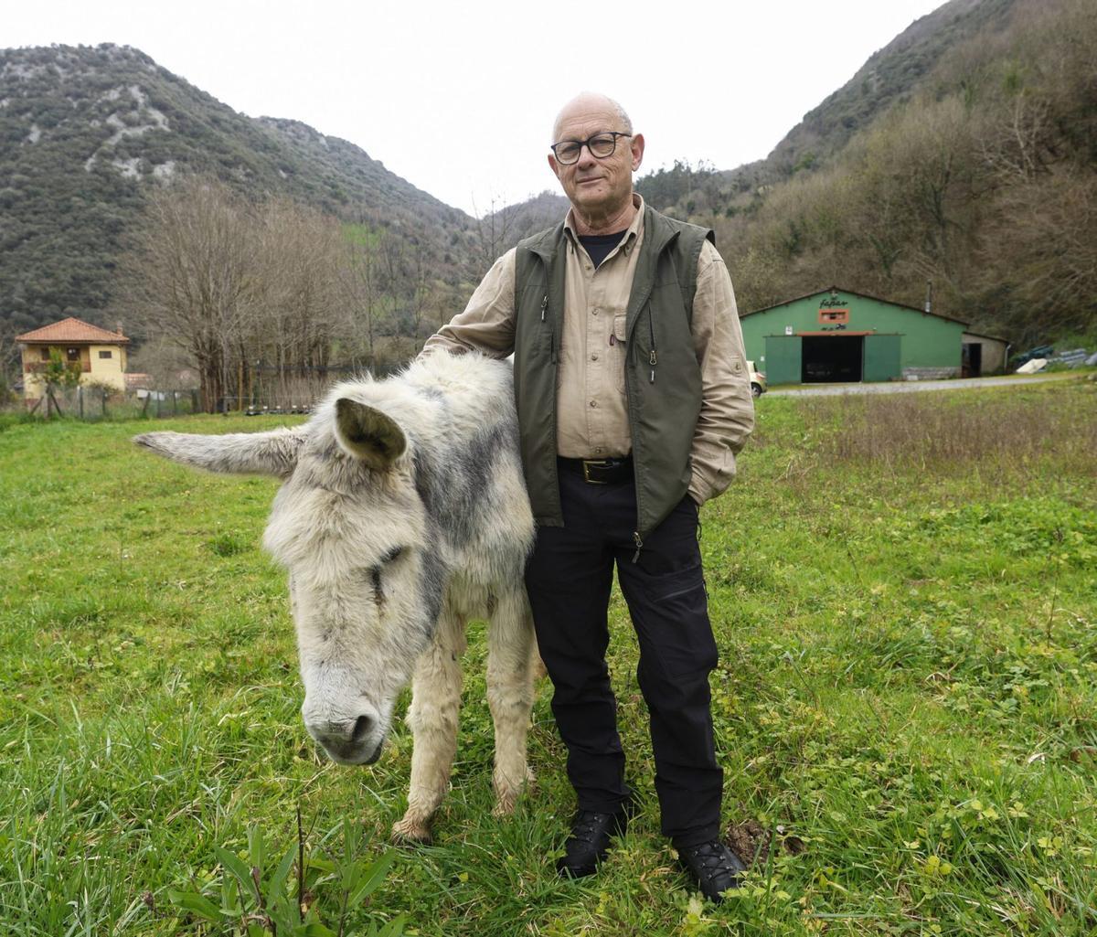 Roberto Hartasánchez, con la burra "Flor", en la sede de FAPAS en Tuñón (Santo Adriano).