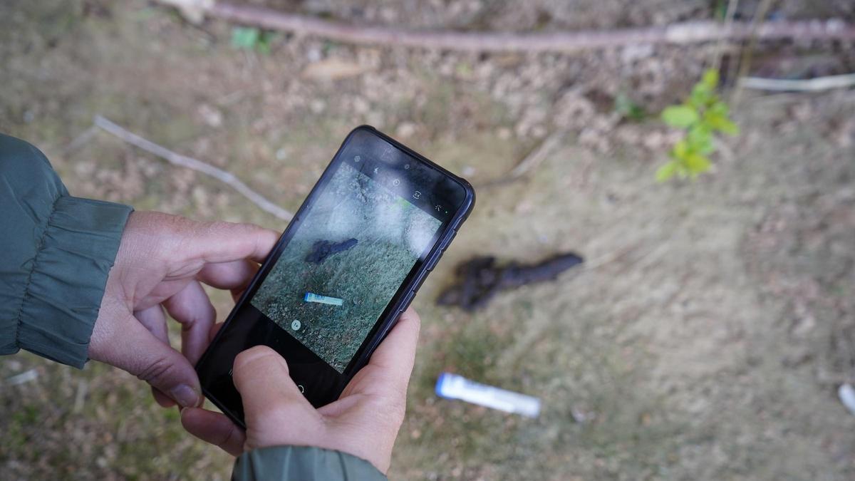 Recogida de muestras de heces para el ADN canino