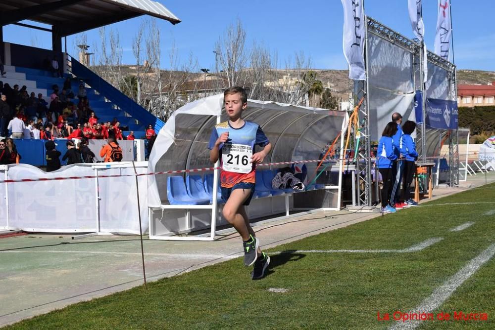 Cross de Jumilla 5