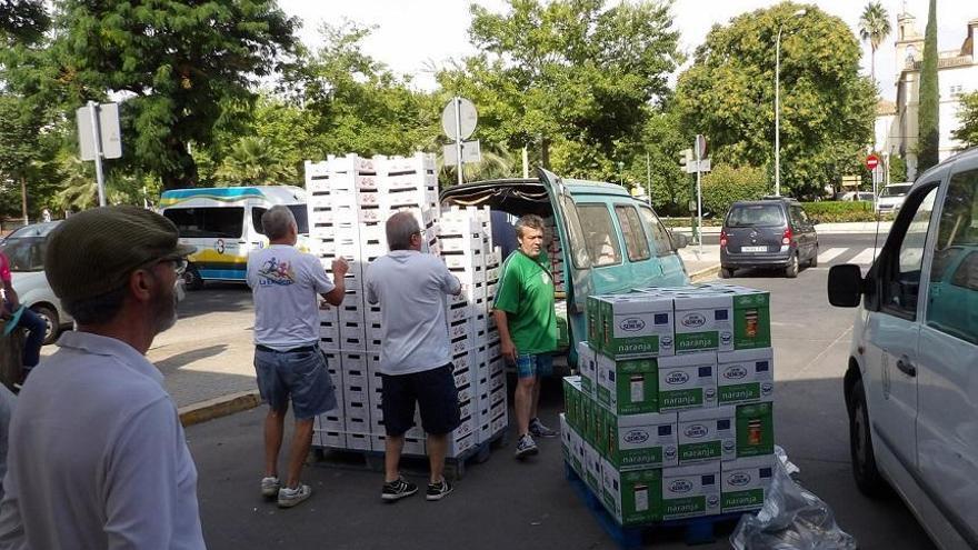 El Banco de Alimentos reparte más de 1,3 millones de kilos de fruta y hortalizas entre 80 oenegés de Córdoba