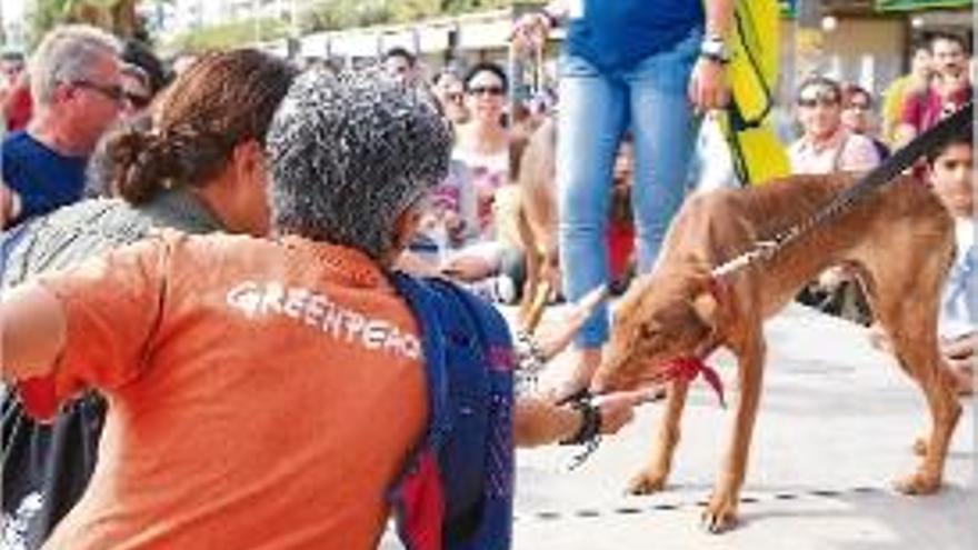 Imatge de l&#039;anterior edició de la desfilada per promoure les adopcions.