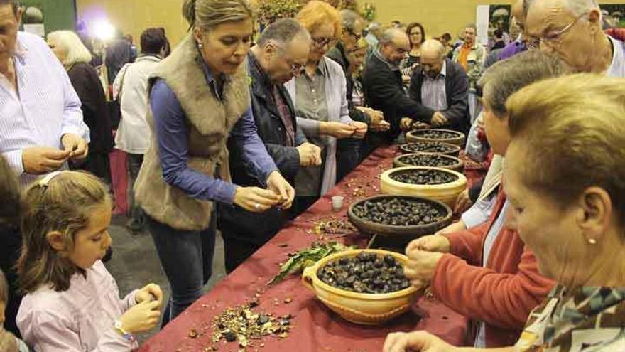 La subdelegada se suma a la exaltación de productos de la tierra en Trabazos