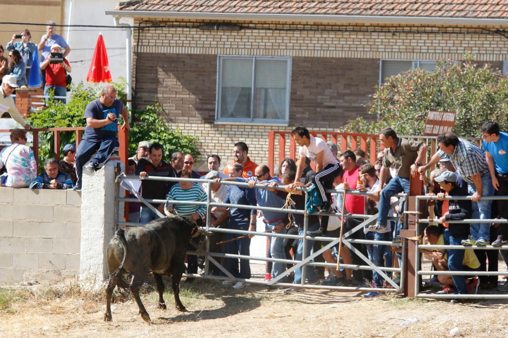 Espantes de Guarrate