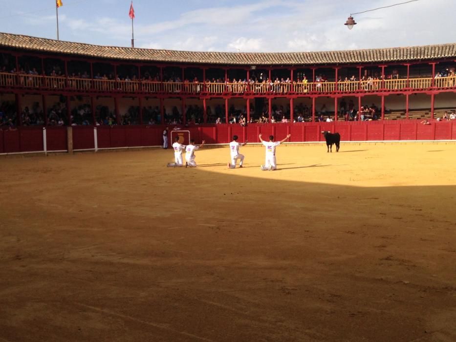 Fiestas Toro- concurso de jóvenes cortadores