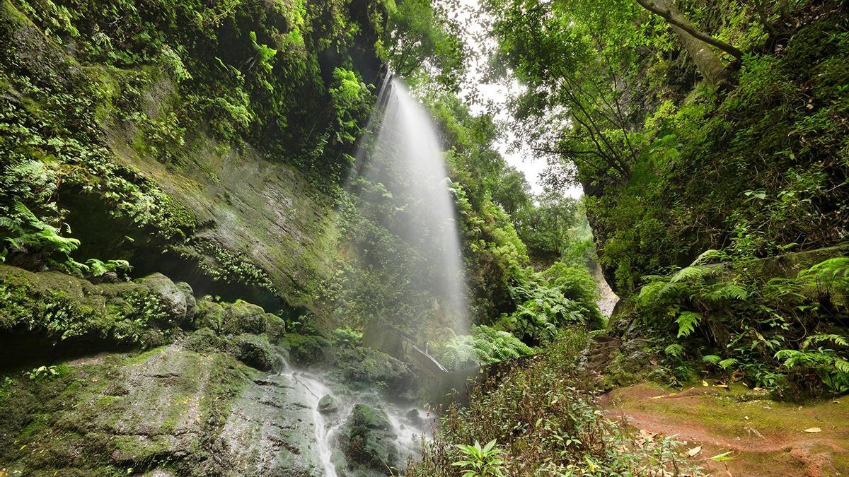 Imagen de una cascada de agua en el Parque Nacional de Garajonay, en la isla de La Gomera.