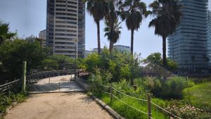 "El puente sobre los lagos del parque de Diagonal Mar lleva meses vallado"