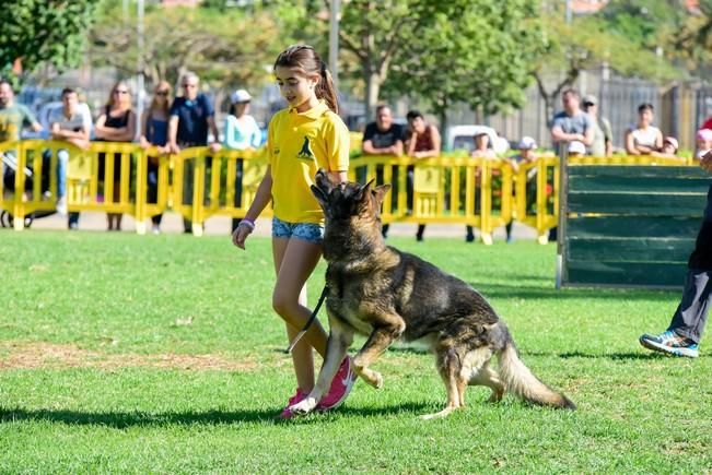 10/12/2016 MASPALOMAS. Feria de Mascotas Maspalomas 2016.Foto: SABRINA CEBALLOS