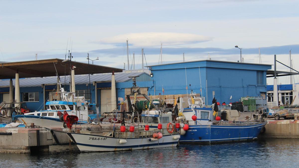 Imatge del port pesquer de Roses