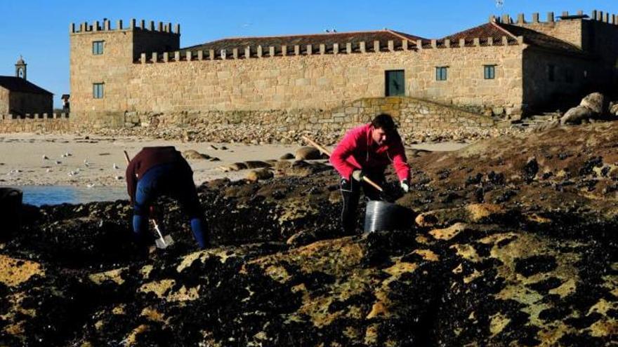 Recolección de mejilla en las rocas situadas en el litoral de la isla de Sálvora.  // Iñaki Abella