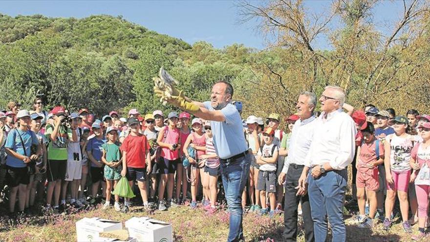 Siete aves recuperadas por la Junta de Andalucía vuelven a la laguna Amarga