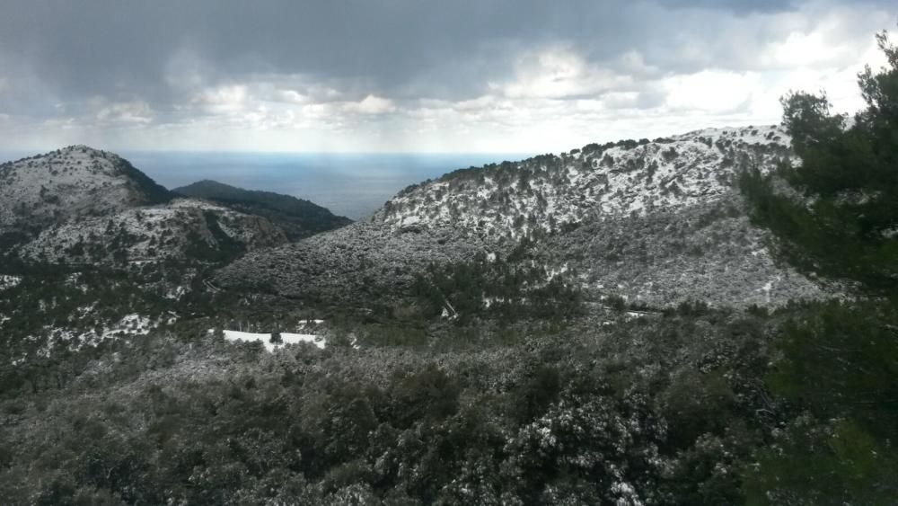 Mallorca, en riesgo importante por nevadas este sábado