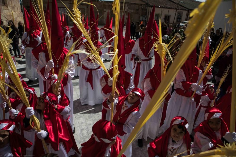 Semana Santa 2018: Procesión de palmas Villaralbo