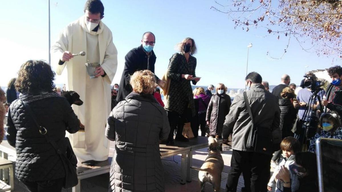 El mossèn Pere Narbón beneint els animals. | AJUNTAMENT DE PALAMÓS