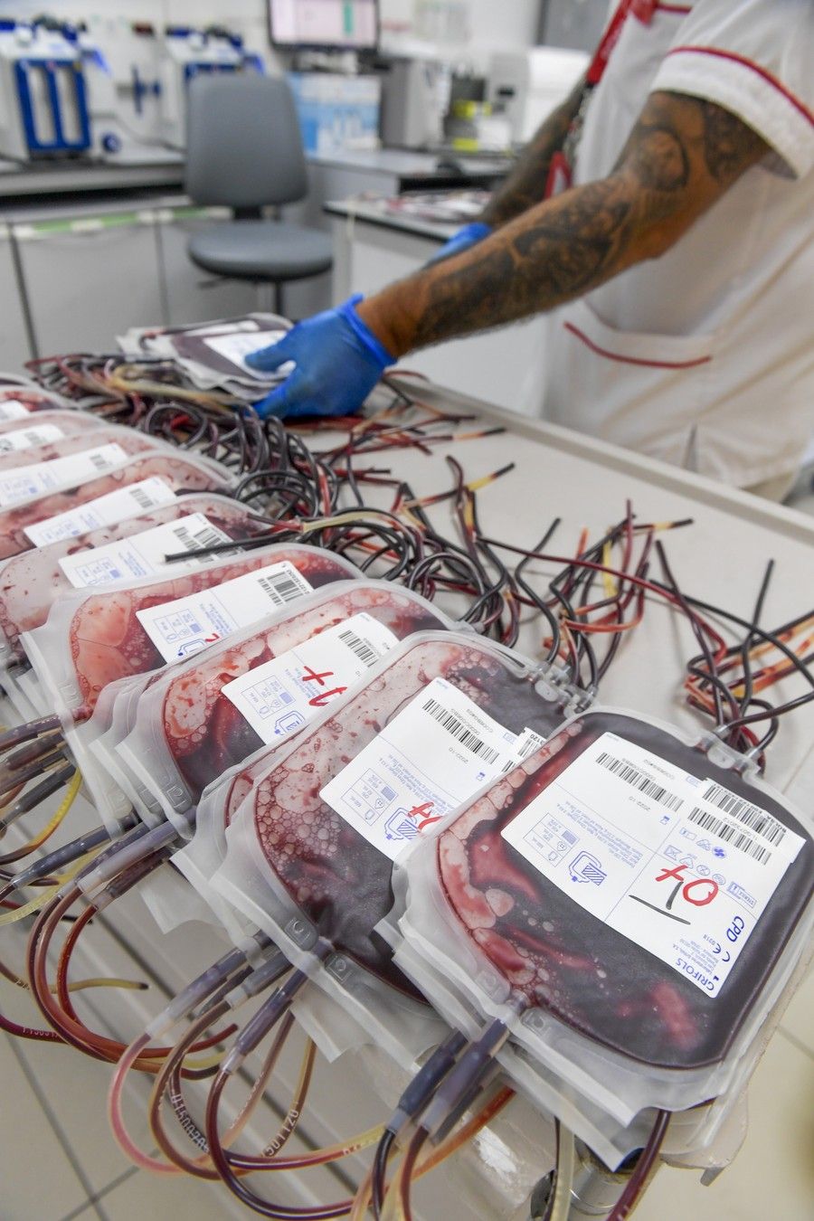 Almacenamiento de las donaciones de sangre en el ICHH