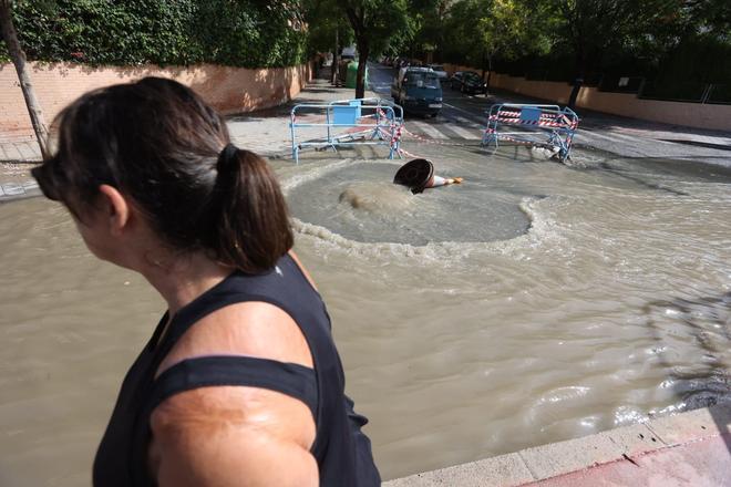 Daños provocados por las lluvias en Alicante junto al barranco de las Ovejas