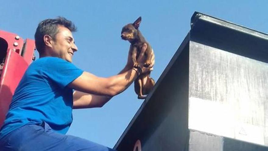 Un operario de Emaya rescata a un pequeño perro del camión.