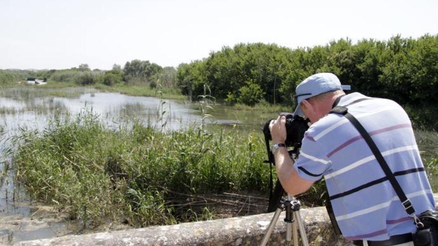 Ein Birdwatcher an Albufera auf Mallorca.