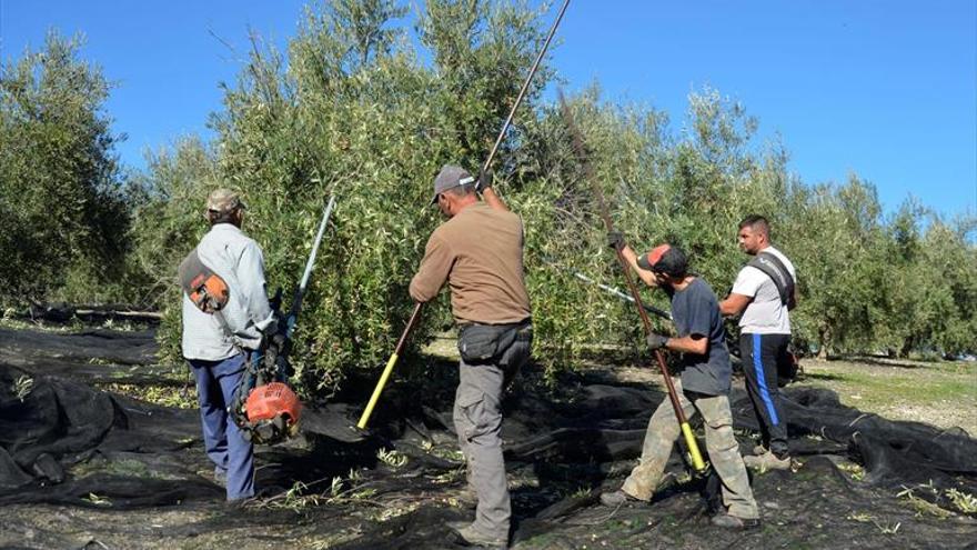 La agricultura, en la encrucijada