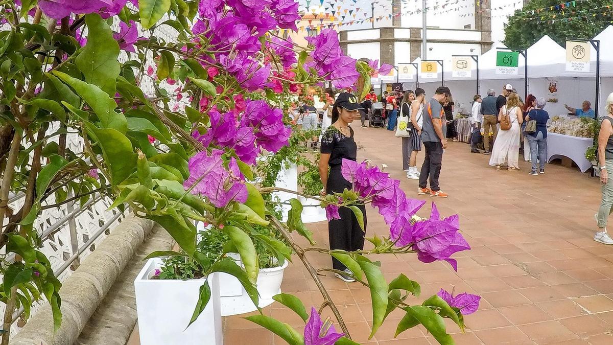 Feria Kilómetro Cero en Ingenio