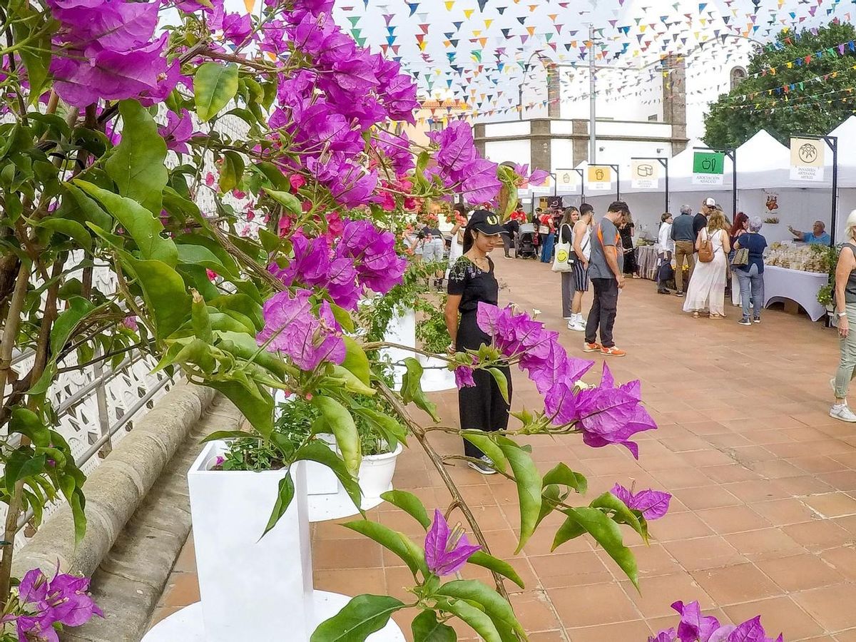 Feria Kilómetro Cero en Ingenio