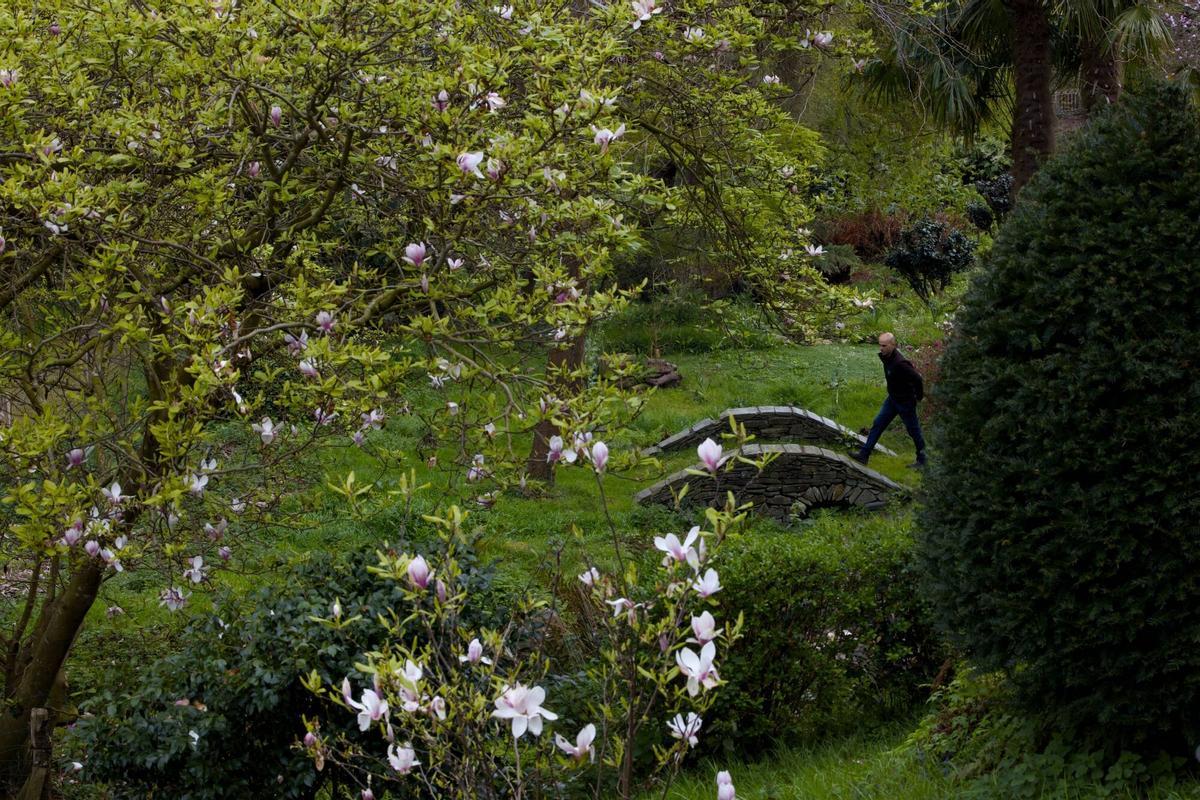 EN IMÁGENES: Así es el bosque-jardín de Luarca