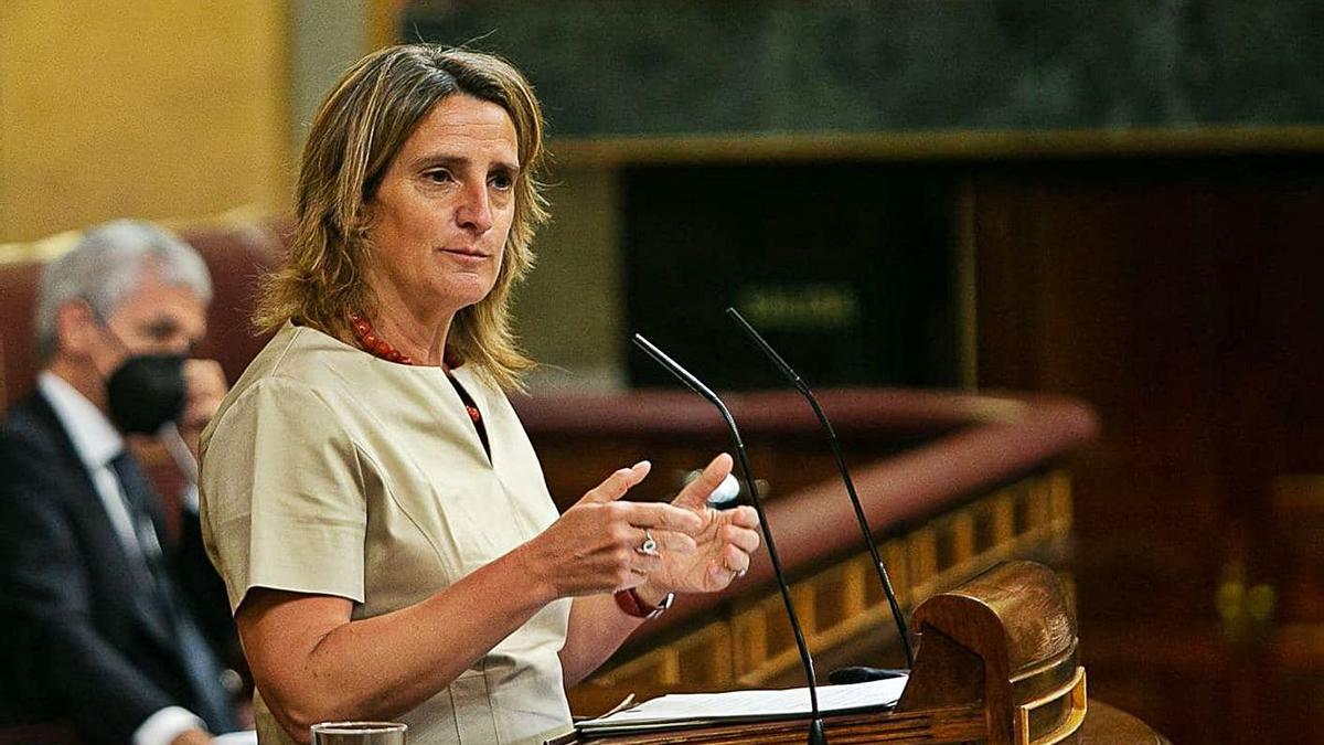 La ministra de transició ecològica, Teresa Ribera, al Congrés.  | EUROPA PRESS
