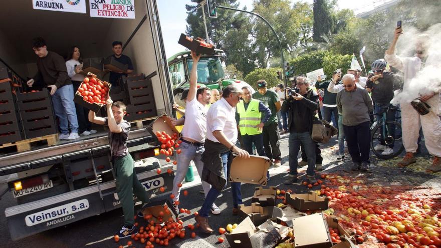 Lanzamiento de tomates durante la manifestación del 21 de febrero. | JUAN CARLOS CAVAL