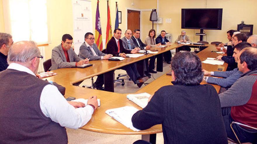 Imagen de la reunión mantenida ayer por el Consejo Balear de Transportes.