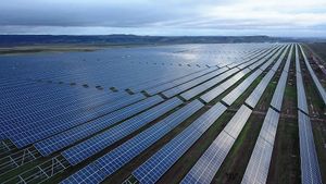 Una planta de energía solar fotovoltaica de Naturgy.