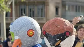 La intrahistoria de la manifestación 'antipájaros' de Barcelona:  "Los pájaros no existen"