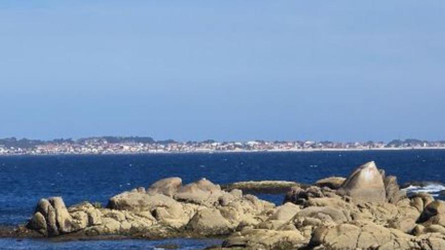 Biólogos de la Xunta observan algas en O Grove. | M. Méndez