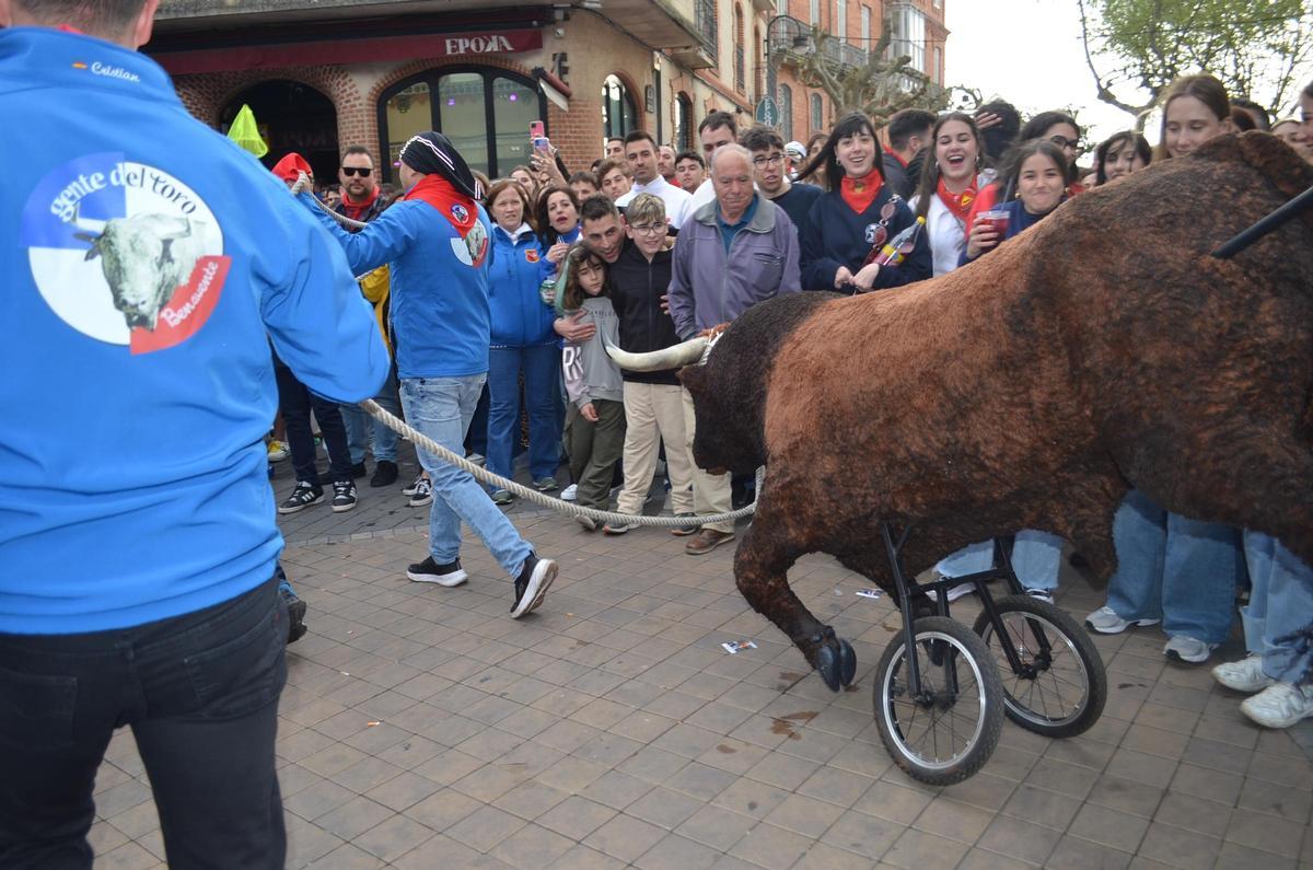 La XXI Carrera del Toro Enmaromado en La Veguilla, en imágenes