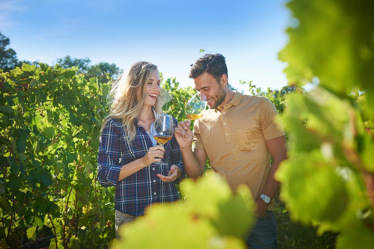 Dos jóvenes probando un vino naranja entre vides en Eslovenia